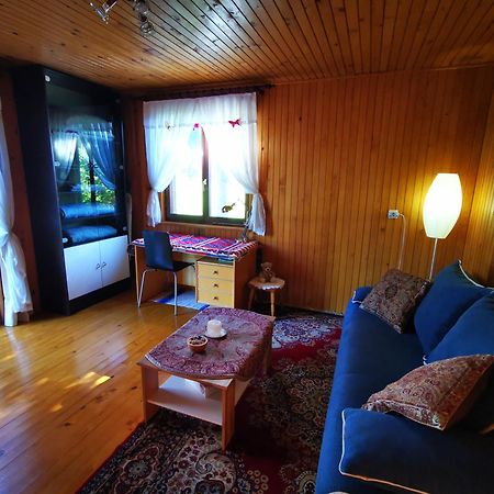 Merikotka - A Cozy Wooden Cottage, Slovenia Braslovce Esterno foto