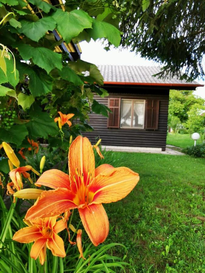 Merikotka - A Cozy Wooden Cottage, Slovenia Braslovce Esterno foto