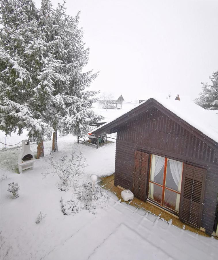 Merikotka - A Cozy Wooden Cottage, Slovenia Braslovce Esterno foto