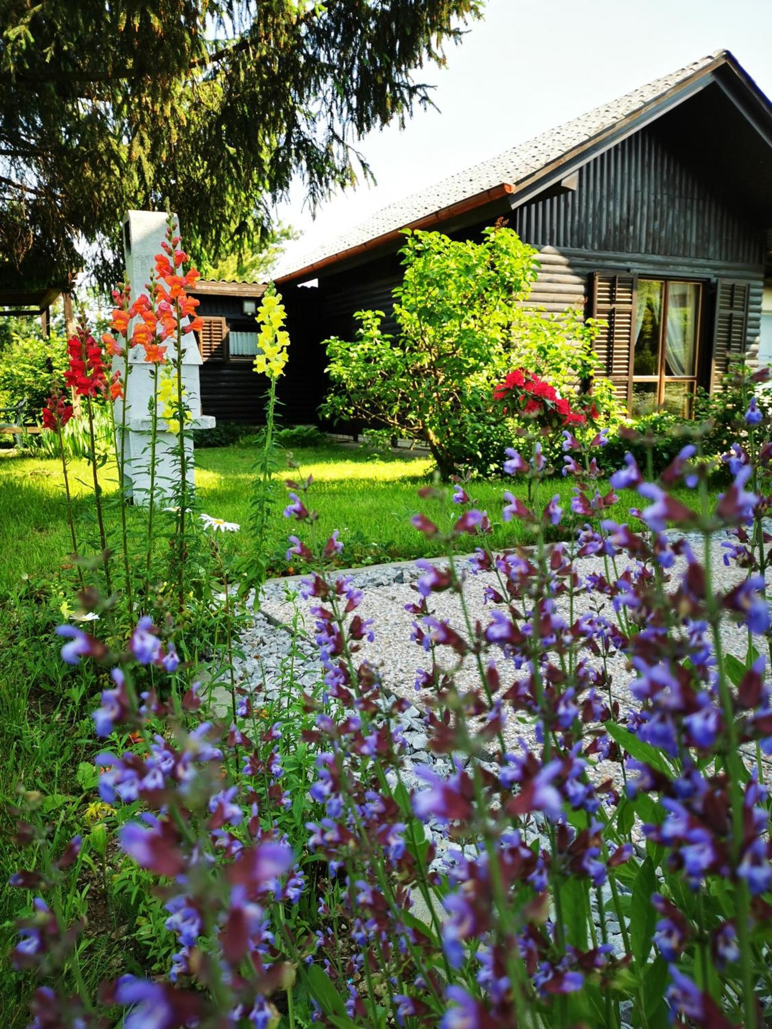 Merikotka - A Cozy Wooden Cottage, Slovenia Braslovce Esterno foto