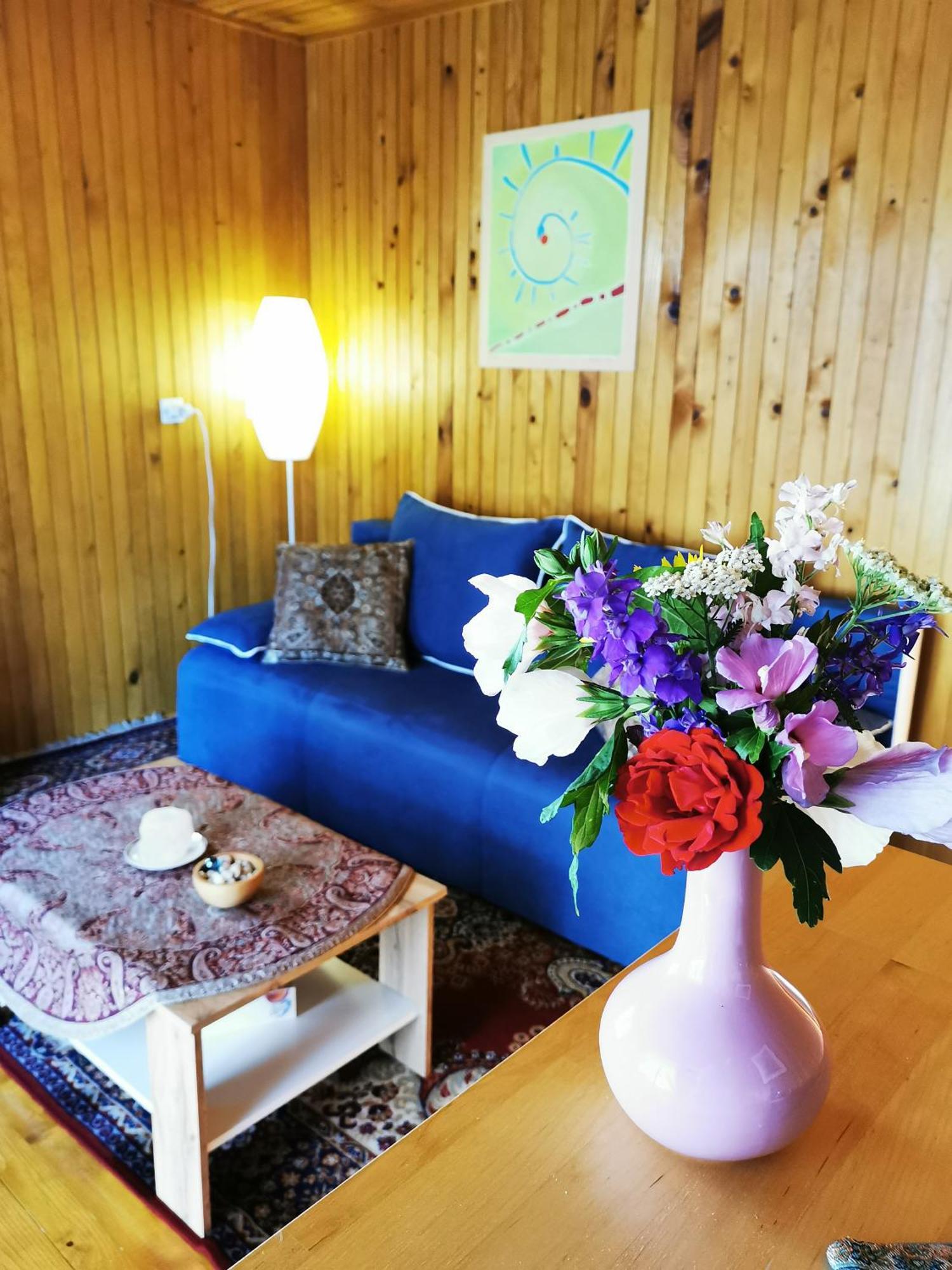 Merikotka - A Cozy Wooden Cottage, Slovenia Braslovce Esterno foto