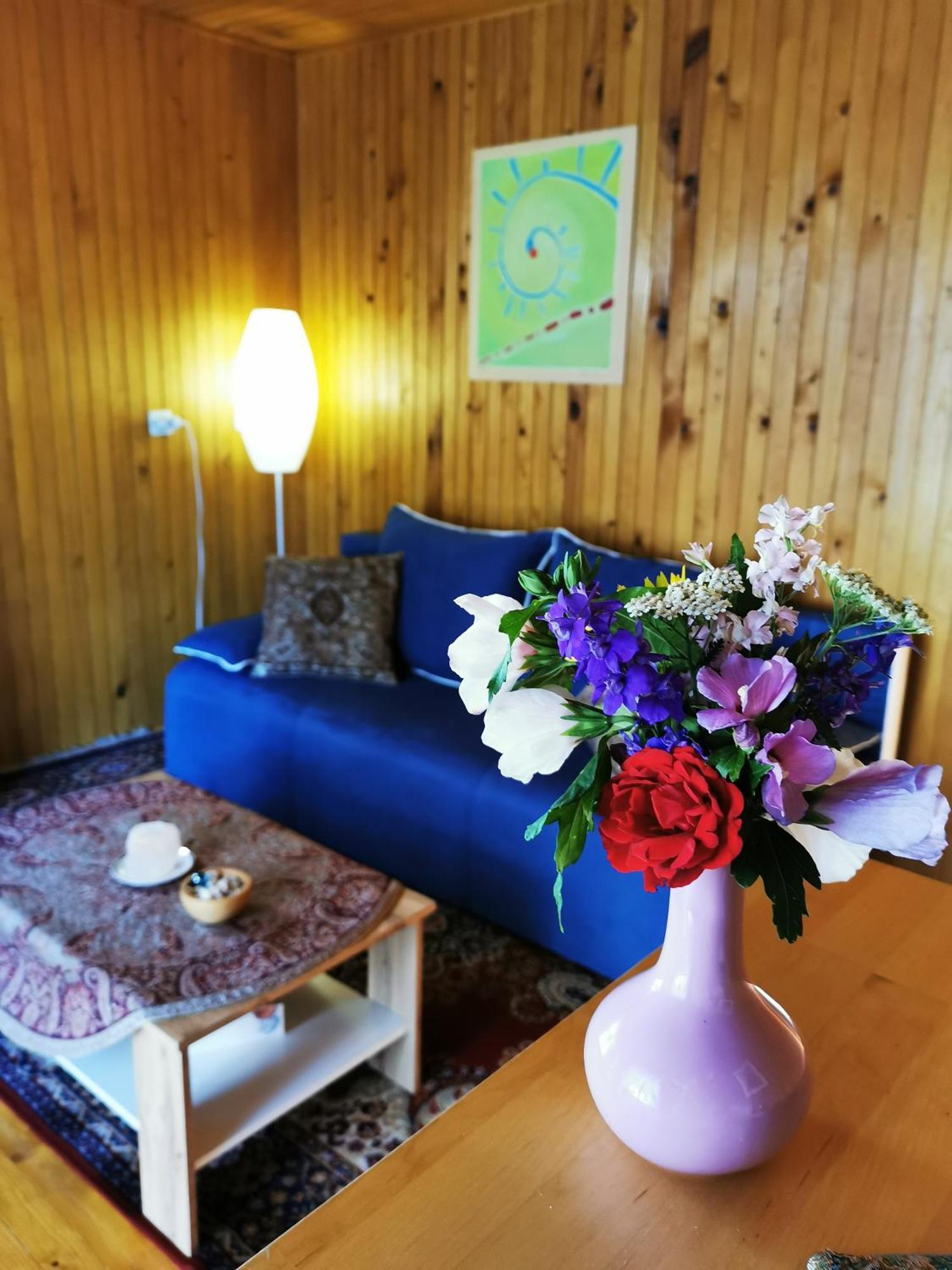 Merikotka - A Cozy Wooden Cottage, Slovenia Braslovce Esterno foto