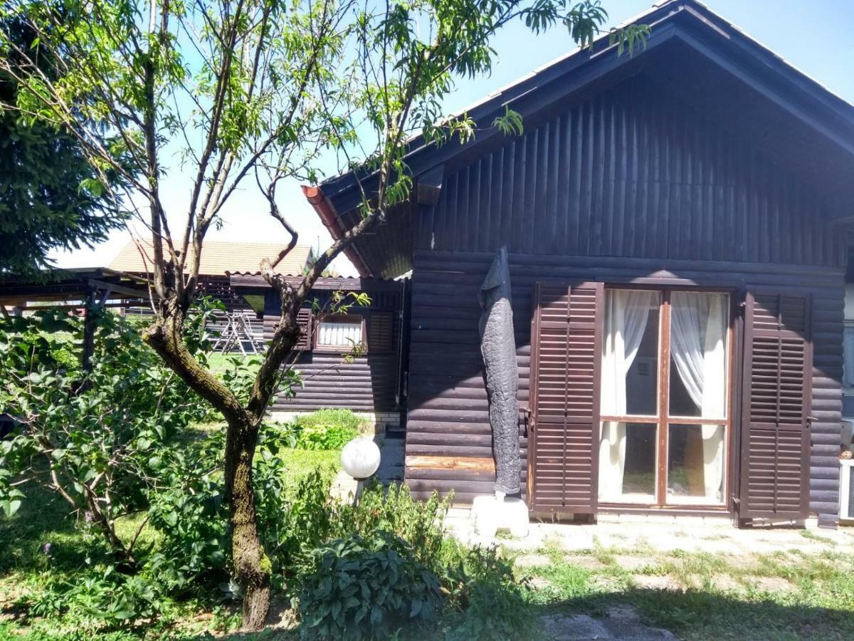 Merikotka - A Cozy Wooden Cottage, Slovenia Braslovce Esterno foto