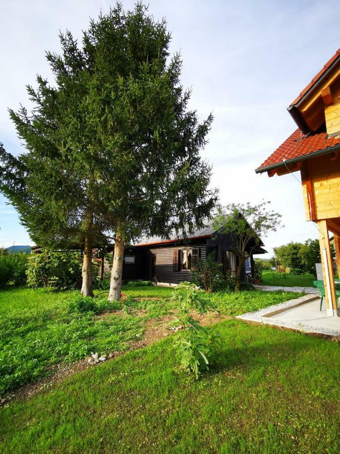 Merikotka - A Cozy Wooden Cottage, Slovenia Braslovce Esterno foto