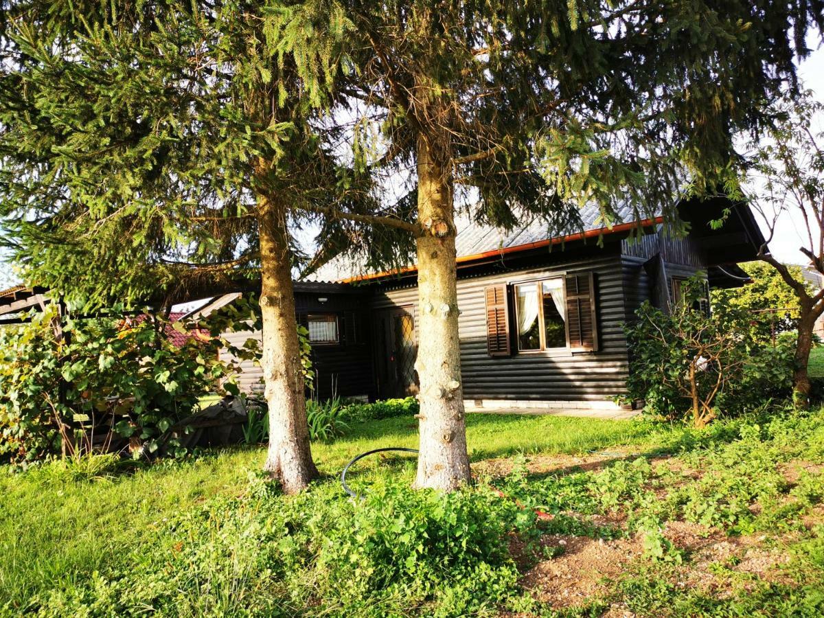 Merikotka - A Cozy Wooden Cottage, Slovenia Braslovce Esterno foto